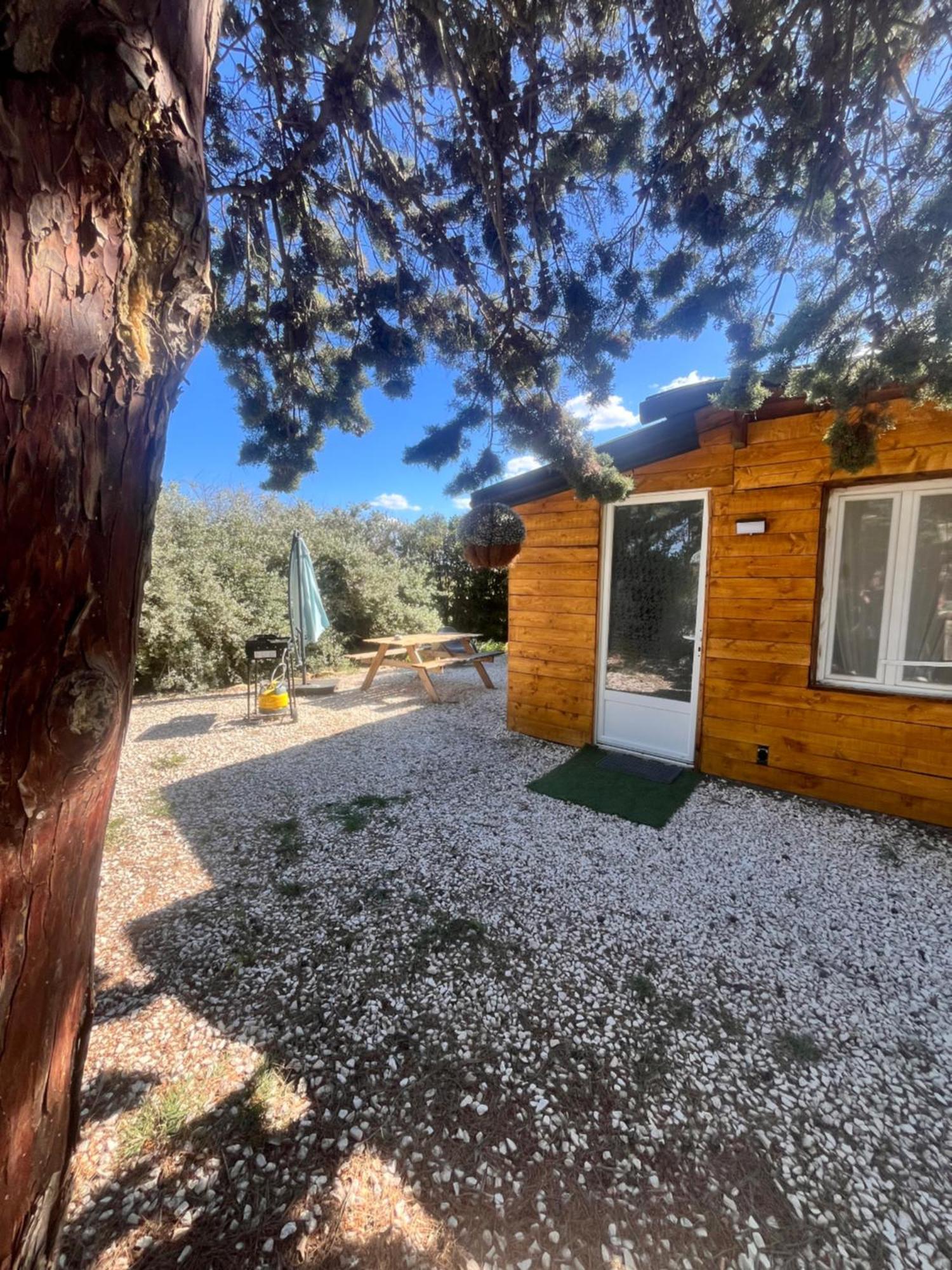 Location T3 Jardin Avec Piscine Villa Mèze Dış mekan fotoğraf